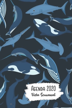 Paperback Agenda 2020 Vista Semanal: 12 Meses Programacion Semanal Calendario en Espanol Diseno Narval y Tibur?n Book