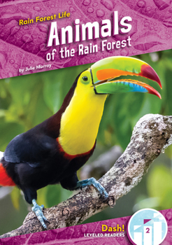 Library Binding Animals of the Rain Forest Book