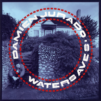 Vinyl Waters Ave S. Book