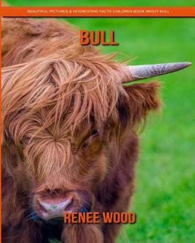 Paperback Bull: Beautiful Pictures & Interesting Facts Children Book about Bull Book