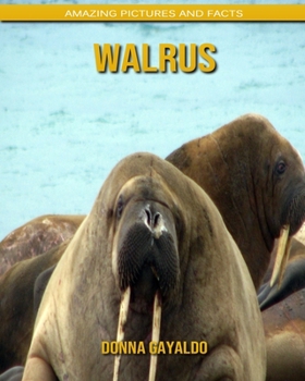 Walrus: Amazing Pictures and Facts