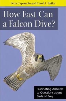 Paperback How Fast Can a Falcon Dive?: Fascinating Answers to Questions about Birds of Prey Book