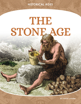 Library Binding The Stone Age Book