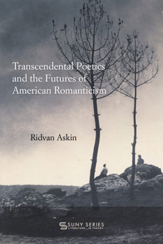 Transcendental Poetics and the Futures of American Romanticism (Suny Series, Lit in Theory)