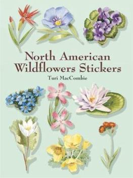 Paperback North American Wildflowers Stickers Book