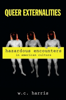 Queer Externalities: Hazardous Encounters in American Culture (SUNY series in Queer Politics and Cultures) - Book  of the SUNY Series in Queer Politics and Cultures