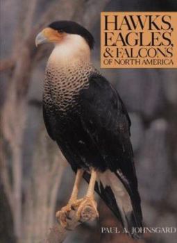 Hardcover Hawks, Eagles & Falcons of North America: Biology and Natural History Book