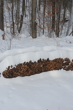 2020 Daily Planner Winter Woodpile Snowcovered 388 Pages: 2020 Planners Calendars Organizers Datebooks Appointment Books Agendas