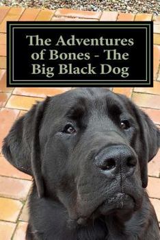 Paperback The Adventures of Bones - The Big Black Dog: Bones Needs a Playmate Book