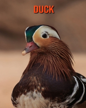 Paperback Duck: Beautiful Pictures & Interesting Facts Children Book About Duck Book