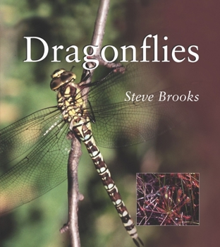 Paperback Dragonflies Book