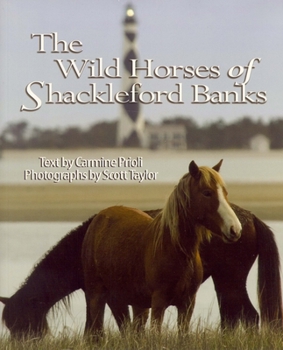 Paperback Wild Horses of Shackleford Banks Book