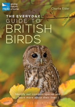 Paperback The Everyday Guide to British Birds: Identify Our Common Species and Learn More about Their Lives Book