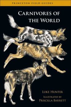 Paperback Carnivores of the World Book