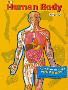 Spiral-bound The Human Body Book [With 4 Acetate Body Charts] Book