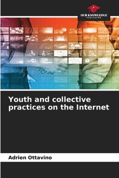 Paperback Youth and collective practices on the Internet Book