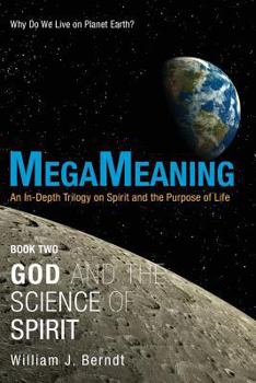 Paperback Megameaning: Book Two: God and the Science of Spirit Book