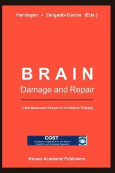 Paperback Brain Damage and Repair: From Molecular Research to Clinical Therapy Book