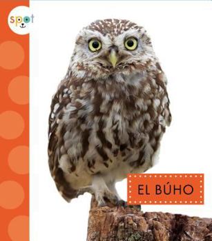 Hardcover El Buho (Owls) [Spanish] Book
