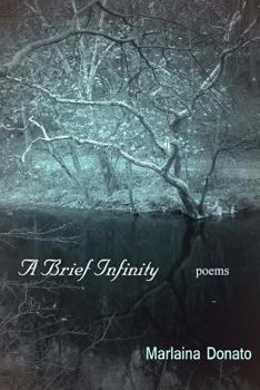 Paperback A Brief Infinity: Poems Book