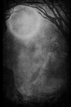 Onirica: Il Quaderno Gotico dove Appuntare le Tue Note, i Tuoi Pensieri, le Tue Sensazioni... Dare Libero Sfogo alla Tua Anima Goth! (Dark Collection) (Italian Edition)