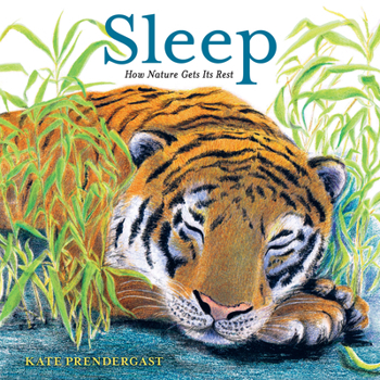 Hardcover Sleep: How Nature Gets Its Rest Book