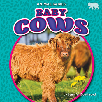 Library Binding Baby Cows Book