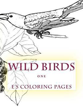 Paperback WILD BIRDS one Book