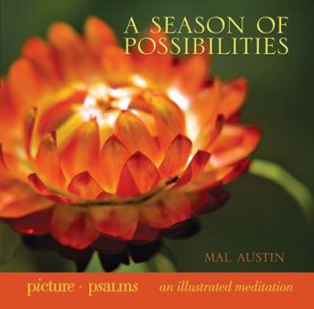 Hardcover A Season of Possibilities Book
