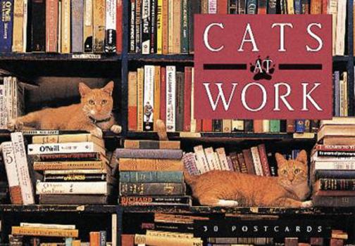 Card Book Cats at Work Book