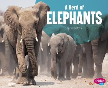 Paperback A Herd of Elephants Book