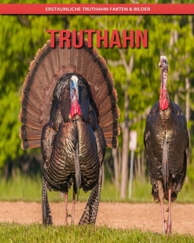 Truthahn: Erstaunliche Truthahn Fakten & Bilder
