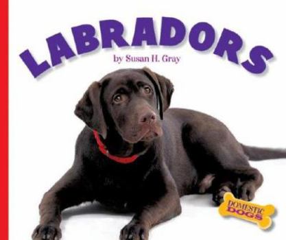 Library Binding Labradors Book