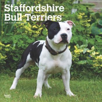 Calendar Staffordshire Bull Terriers 2025 12 X 24 Inch Monthly Square Wall Calendar Plastic-Free Book