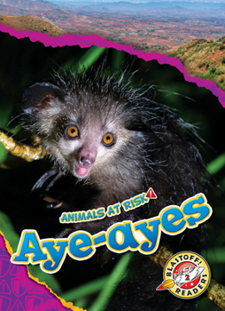 Library Binding Aye-Ayes Book