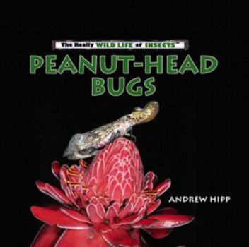 Library Binding Peanut-Head Bugs Book