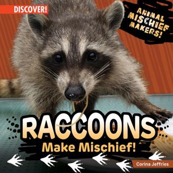 Paperback Raccoons Make Mischief! Book