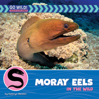 Paperback Moray Eels in the Wild Book