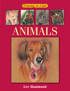 Paperback Drawing in Color Animals Book