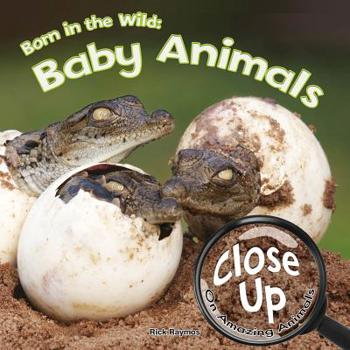 Paperback Born in the Wild (Close-Up on Amazing Animals) Book