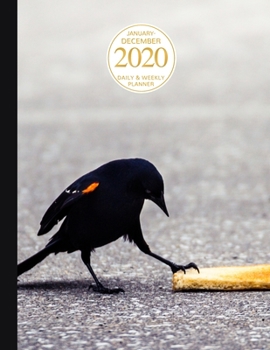 January - December 2020 Daily & Weekly Planner: 1 Year Personal Calendar; Funny Blackbird Stealing Bread