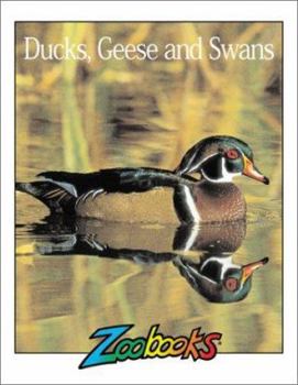 Hardcover Ducks, Geese & Swans Book