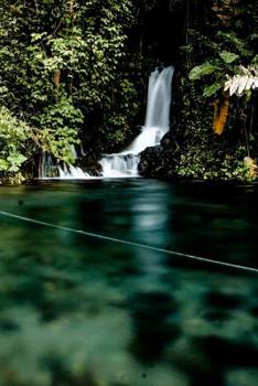 Password Journal: Discreet Password Logbook