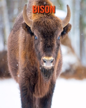Bison: Informations Etonnantes & Images