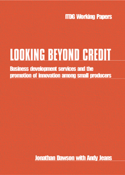 Paperback Looking Beyond Credit: Business Development Services and the Promotion of Innovation Among Small Producers Book