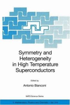 Paperback Symmetry and Heterogeneity in High Temperature Superconductors Book