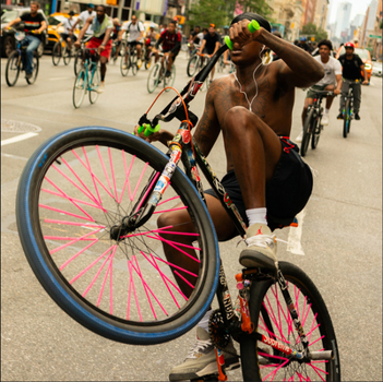 Paperback Bike Life Book