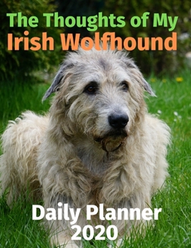 Paperback The Thoughts of My Irish Wolfhound: Daily Planner 2020 Book