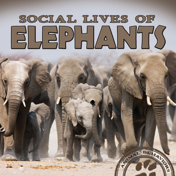 Paperback Social Lives of Elephants Book