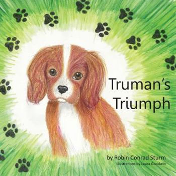 Paperback Truman's Triumph Book